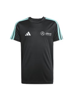 adidas mercedes - amg petronas formula one team dna men t-shirt