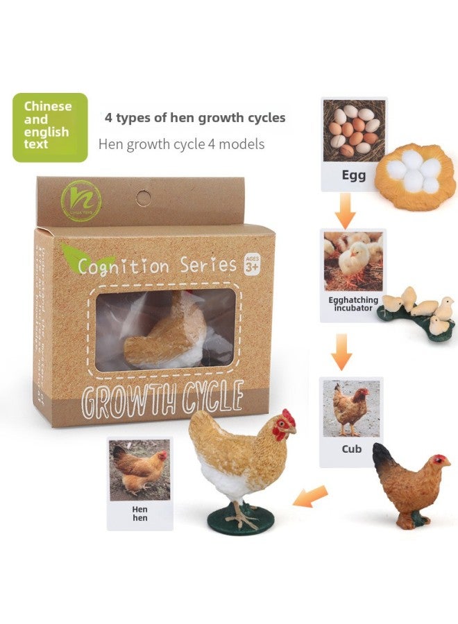 Realistic Simulation Animal Plant Models Toy Collection - Dinosaurs Dragons Unicorns Mermaids Sharks More-Color:PL127-2416 Hen Growth Cycle + Chinese Card + Color Box  - Image 1