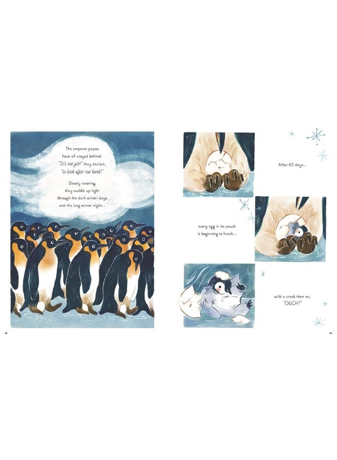 5 Minute Ocean Stories: True Tales from the Sea  - Image 3