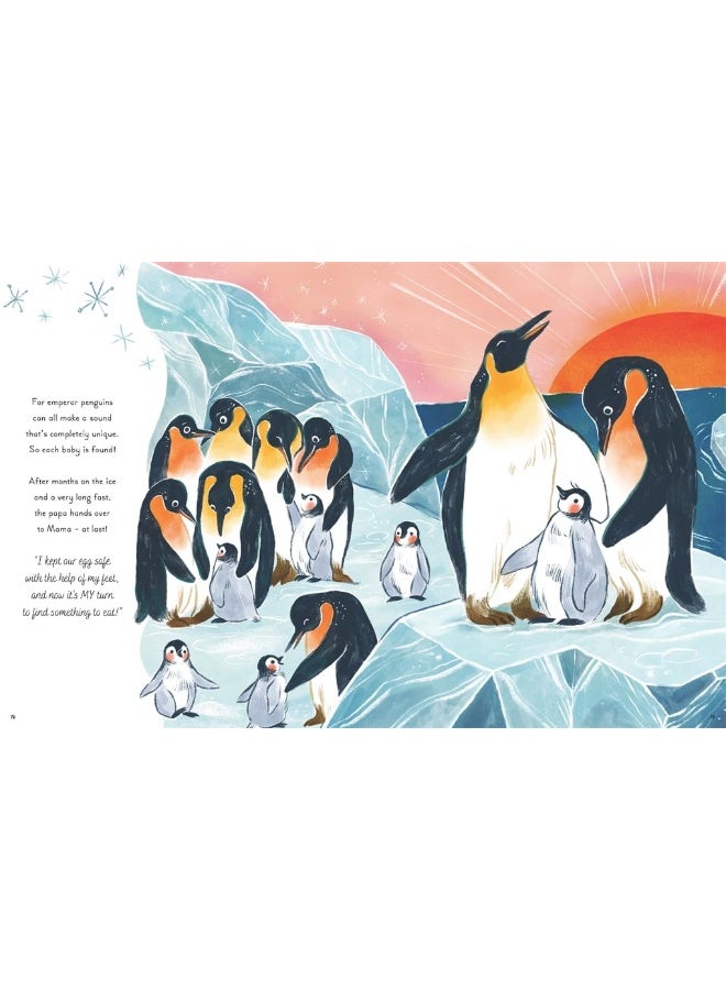 5 Minute Ocean Stories: True Tales from the Sea  - Image 5