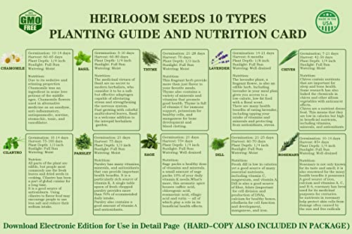 Meekear 10 Herb Seeds Garden Starter Grow Kit with Green Pots, Markers, Nutritional Soil, Watering, Herb Clipper, Complete Indoor Potted Plant Growing Set for Kitchen DIY - Image 3