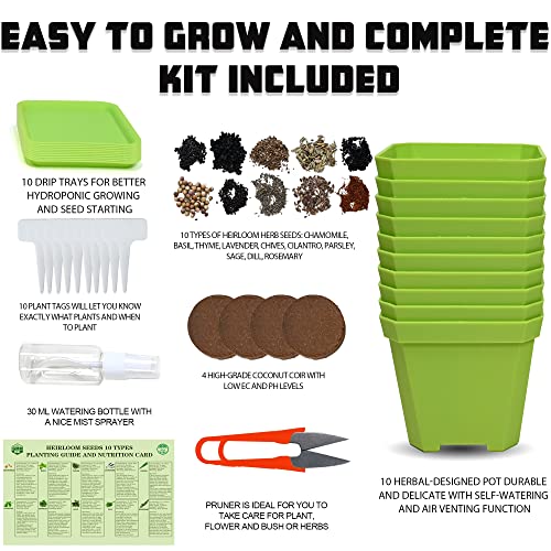Meekear 10 Herb Seeds Garden Starter Grow Kit with Green Pots, Markers, Nutritional Soil, Watering, Herb Clipper, Complete Indoor Potted Plant Growing Set for Kitchen DIY - Image 2