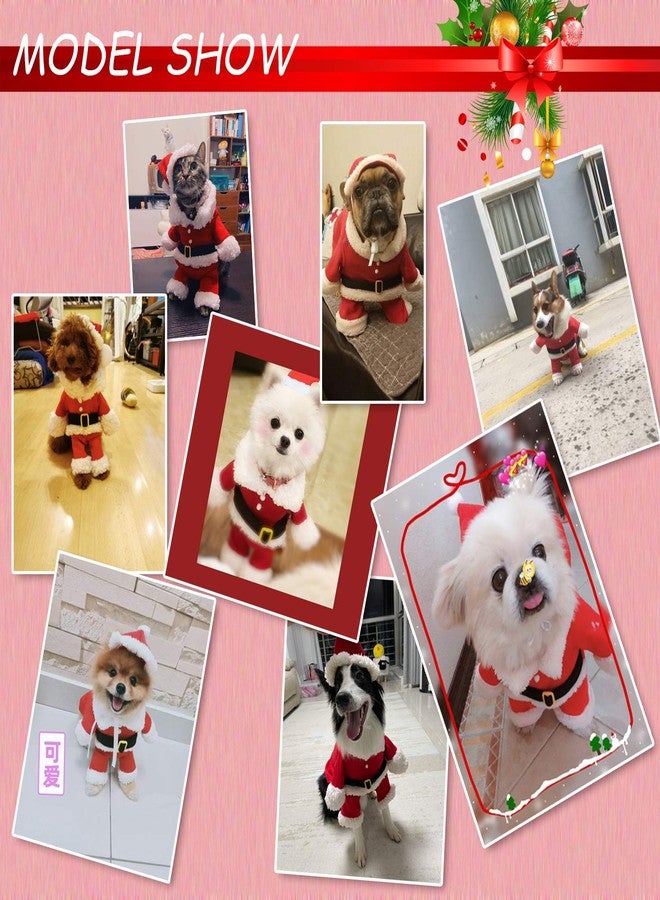 QETRABONE Small Dog Cat Christmas Santa Claus Costume - Red Santa Hat Scarf Cosplay Dressing Up Xmas Party New Year Clothing Accessories (X-Large) - Image 5