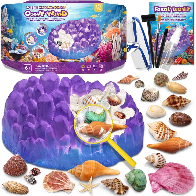 PIBEX Ocean Fossil Dig Kit Dig up 20 Real Shells  Seasnails STEM Educational Activity Set Sea Creatures Excavation Toy for Kids Marine Biology Geology Science Kit Gift for Boys and Girls Age 6 - Image 2
