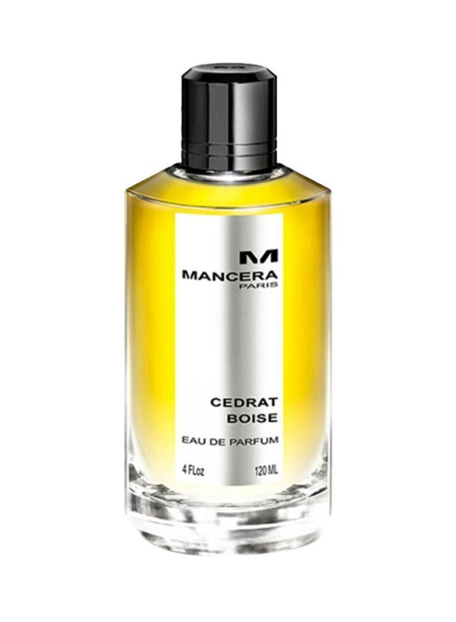 Mancera Cedrat Boise EDP 120ml - Image 1
