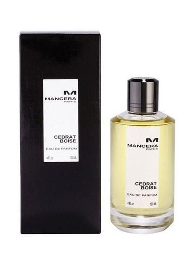Mancera Cedrat Boise EDP 120ml - Image 2