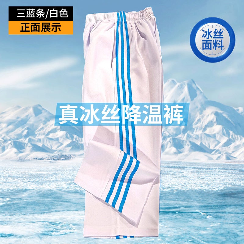Summer Thin White Ice Silk Unisex Student Uniform Pants With Two Stripes And Three Stripes Blue Sports Pants - Image 3