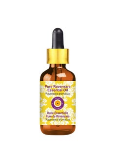 ديف هيربس زيت رافينسارا العطري النقي (رافينسارا أروماتيكا) مقطر بالبخار بقطارة زجاجية 50 مل  - Image 1