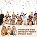 Fainne 24 Pcs Party Favors Boxes Foldable Treat Gift Boxes Candy Goodie Cases Decorations Adopt Pet Gift for Birthday Wedding Bridal Shower Party Favors Classic - Image 4