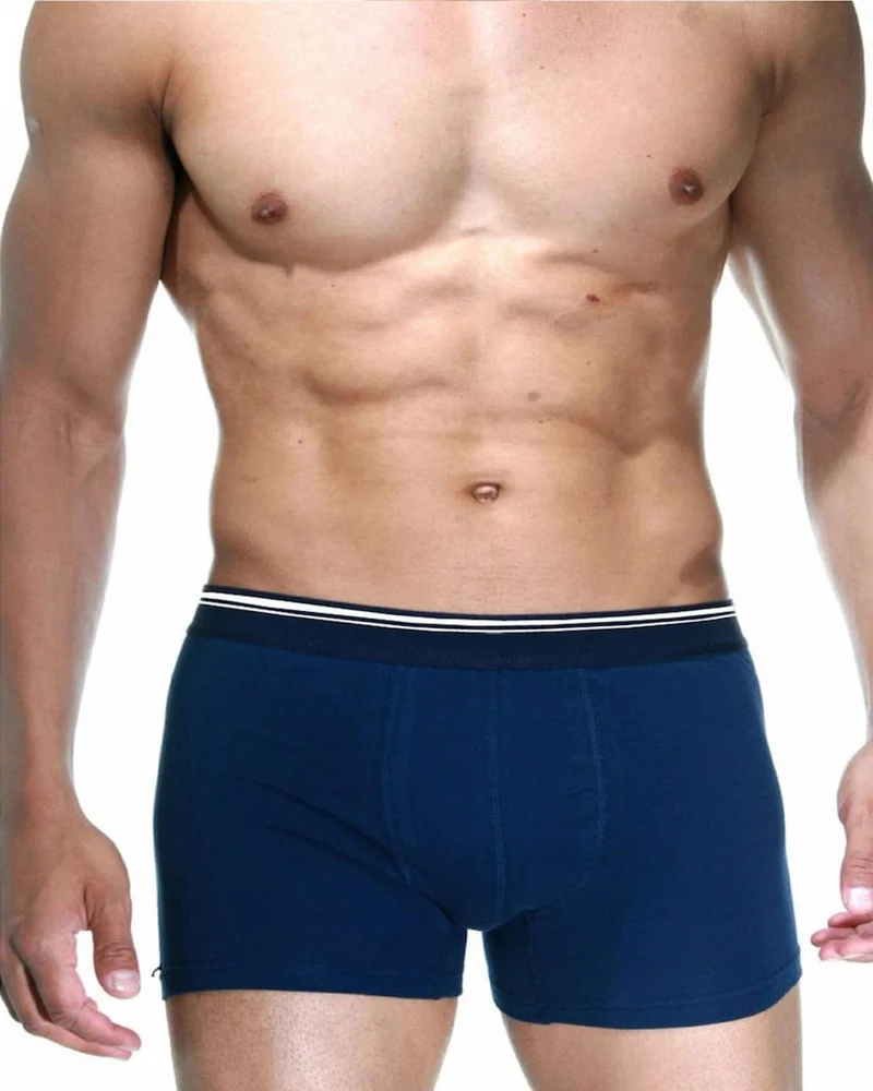 Berrak Underwear 1097 Cotton Lycra Boxer Briefs Underpants 3 Pack