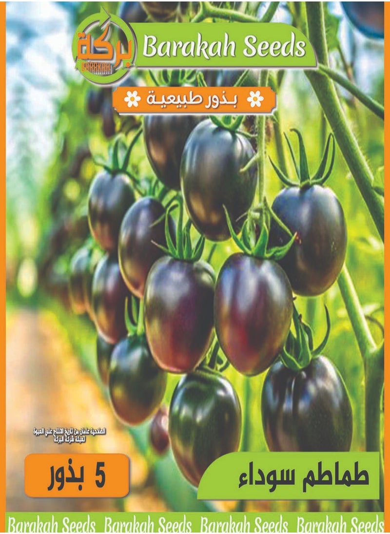 Generic High germination rate seeds - black tomatoes 