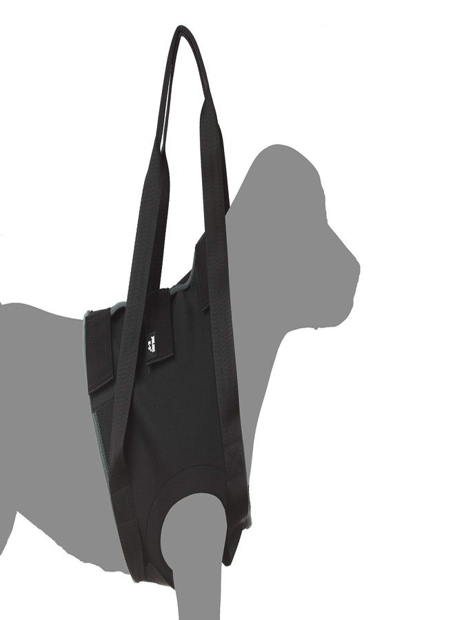 JULIUS K9  Julius-K9 Rehabilitation Harnesses - Front, Size: M, Chest Circumference: 47-73 cm - Image 3