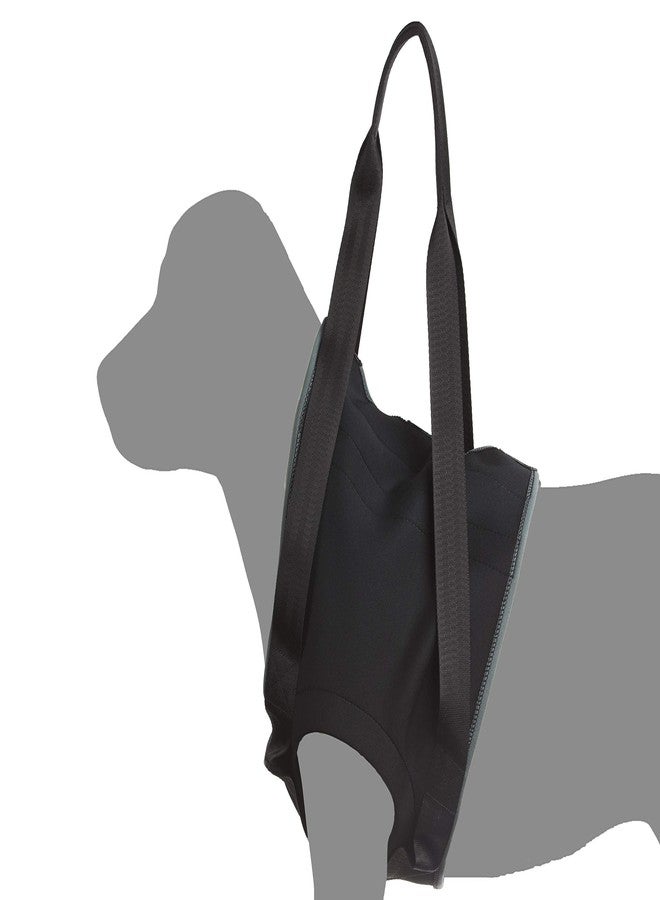 JULIUS K9  Julius-K9 Rehabilitation Harnesses - Front, Size: M, Chest Circumference: 47-73 cm - Image 2