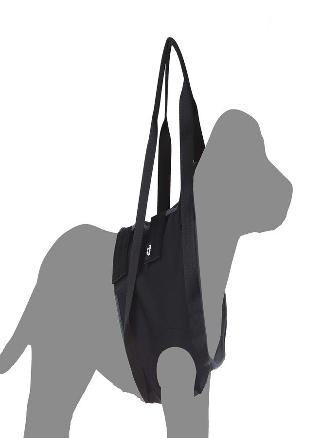 JULIUS K9  Julius-K9 Rehabilitation Harnesses - Front, Size: M, Chest Circumference: 47-73 cm - Image 4