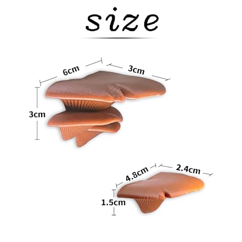 Daerky Jumping Spider Mushroom Shelf, Magnetically Concealed Jumping Spider Habitat,Serves As Enclosure Decorate Accessories for Spider Climbing Feeding and Platforms (Brown) - Image 3