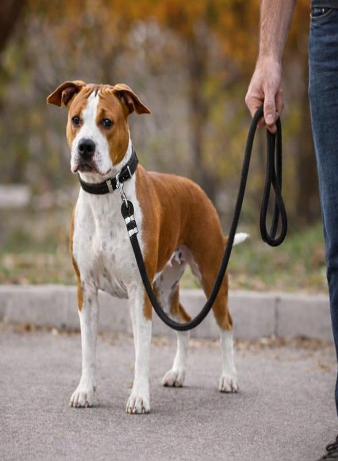 PET FUN Heavy Duty Nylon Dog Leash 56 Inch, 22mm Thick - Anti-Slip Padded Handle Rope Leash with Strong Metal Hook for Medium & Large Dogs, Training & Walking - Image 3