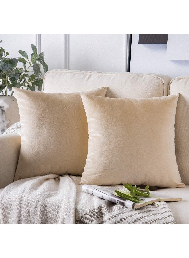 Phantoscope Pack of 2 Velvet Decorative Throw Pillow Covers Soft Solid Square Cushion Case for Couch Beige 22 x 22 inches 55 x 55 cm - Image 4