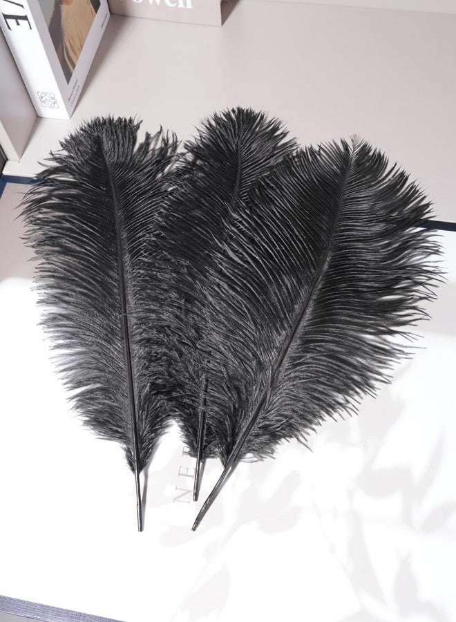 Shekyeon 16-18inch Black Ostrich Feathers DIY Craft Large Feather for Wedding Party Centerpicecs Flower Arrangement and Easter Gatsbi Decortion Pack of 10 - Image 5