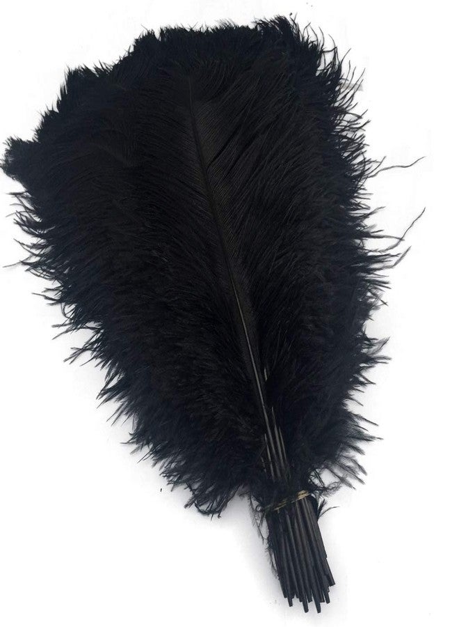 Shekyeon 16-18inch Black Ostrich Feathers DIY Craft Large Feather for Wedding Party Centerpicecs Flower Arrangement and Easter Gatsbi Decortion Pack of 10 - Image 1