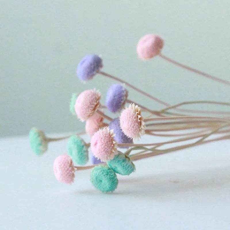 Bluejw Real Dried Diamond Flowers Tiny Mini Flowers for DIY Crafts - Natural Florist Supplies & Dried Plants Arrangement Accessories - Image 3