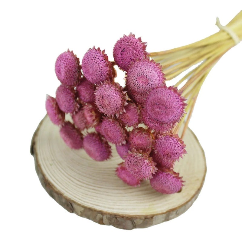 Bluejw Real Dried Diamond Flowers Tiny Mini Flowers for DIY Crafts - Natural Florist Supplies & Dried Plants Arrangement Accessories - Image 2