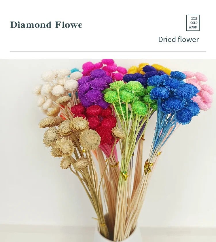 Bluejw Real Dried Diamond Flowers Tiny Mini Flowers for DIY Crafts - Natural Florist Supplies & Dried Plants Arrangement Accessories - Image 5