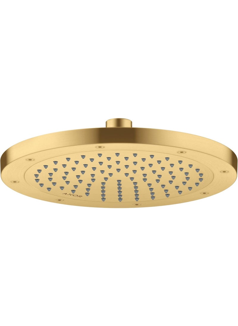 AXOR AXOR ShowerSolutions 10inch Showerhead 1Spray Rain in Brushed Gold Optic 35384251 