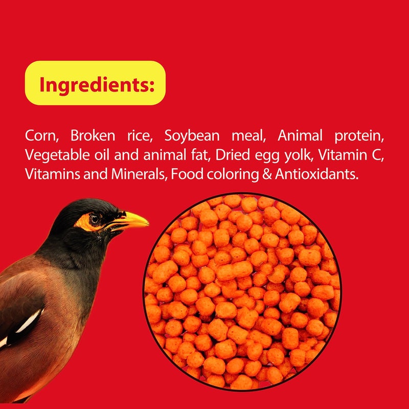 Petslife Mynah Bird Food, 400g, Comlete Nutrition with Omega 3 & 6 for Vibrant Feathers, Strong Immunity & Balanced Nutrition for Healthy Mynah - Image 4