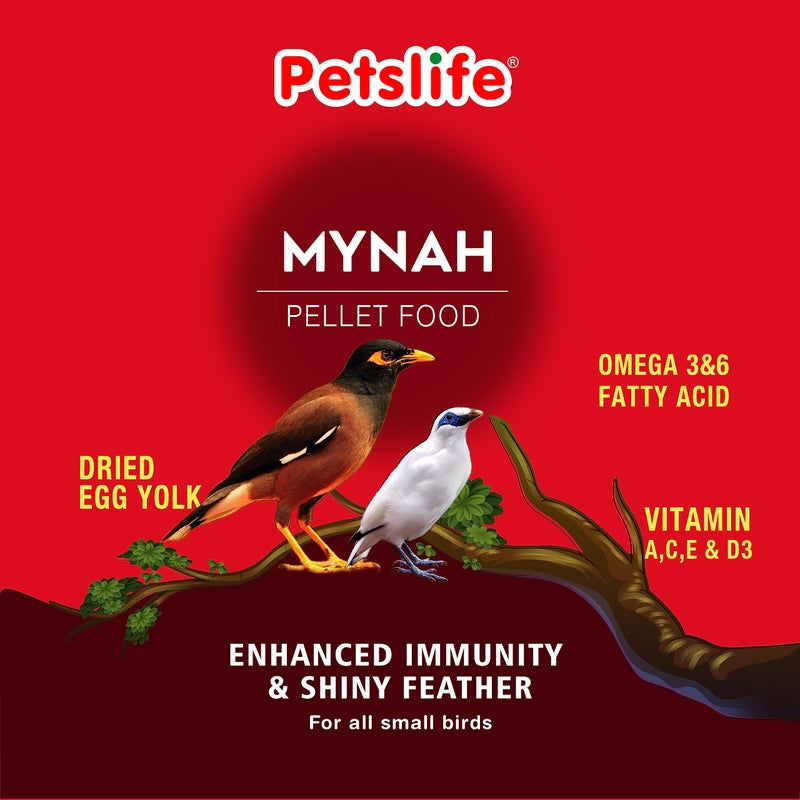 Petslife Mynah Bird Food, 400g, Comlete Nutrition with Omega 3 & 6 for Vibrant Feathers, Strong Immunity & Balanced Nutrition for Healthy Mynah - Image 3