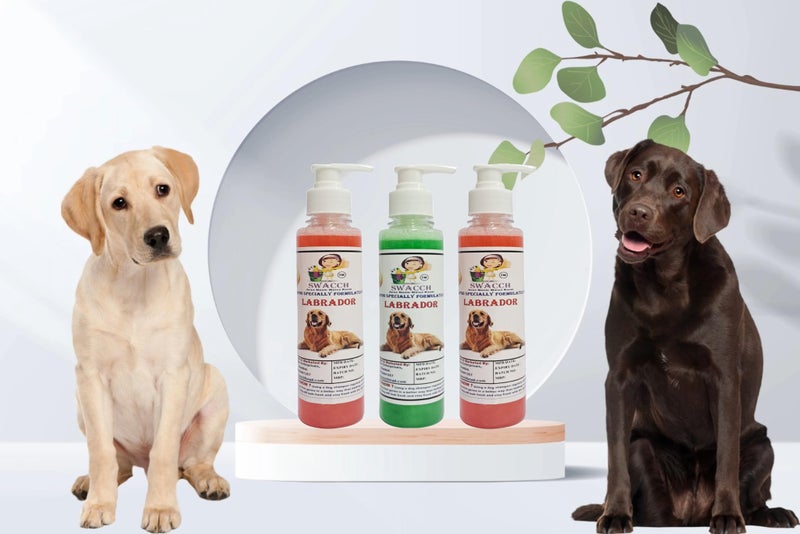 SWACCH Premium Shampoo for Labrador (200ML) (Combo Pack of 3) Jasmine, NEEM ALOVERA & Strawberry - Image 2