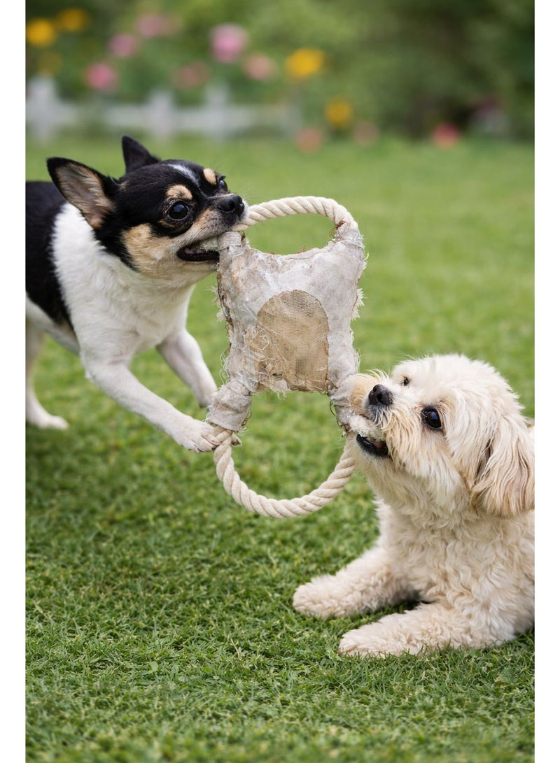 Rope Tension Pet Toy for Dogs, Tug of War Chew Toy with Cotton Rope - Image 1