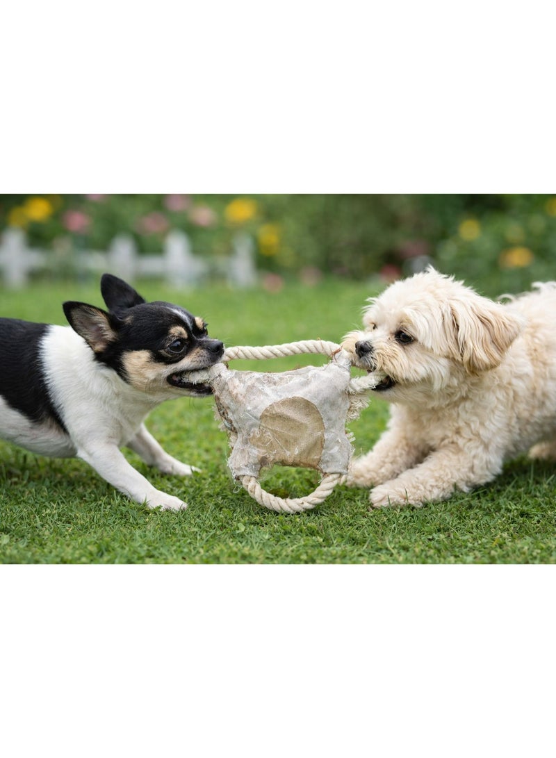 Rope Tension Pet Toy for Dogs, Tug of War Chew Toy with Cotton Rope - Image 2