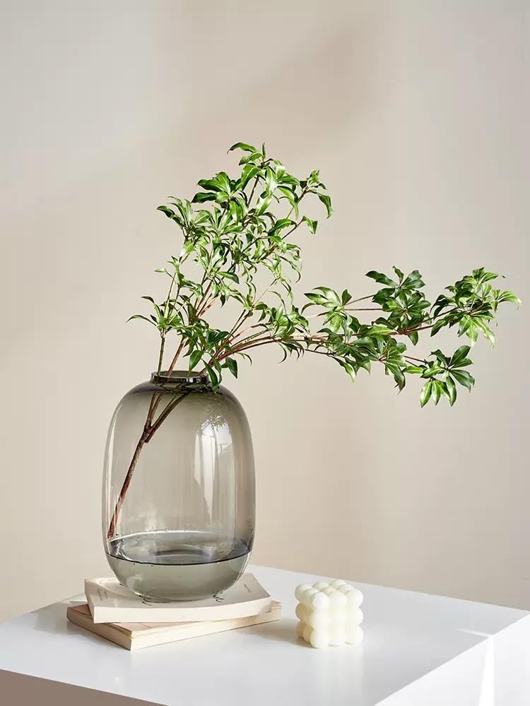 GeLive Smoked Glass Vase, Primary Colored Glass Vase, Clear Tabletop Vase, Flower Arrangement for Long Stem Branch Artificial Plant Home Indoor Centerpiece Decoration (Smoky Gray) - Image 5