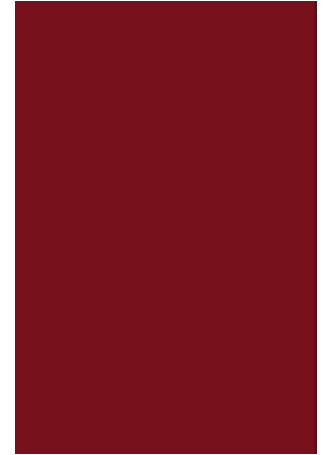 Gratitude Journal: 90 Days to Develop Gratitude and Mindfulness.  - Image 2