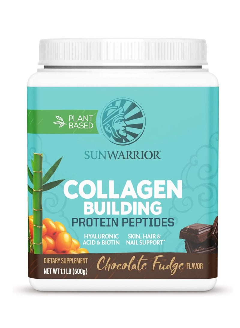 Sunwarrior Collagen Building Protein Peptides Chocolate Fudge 500g