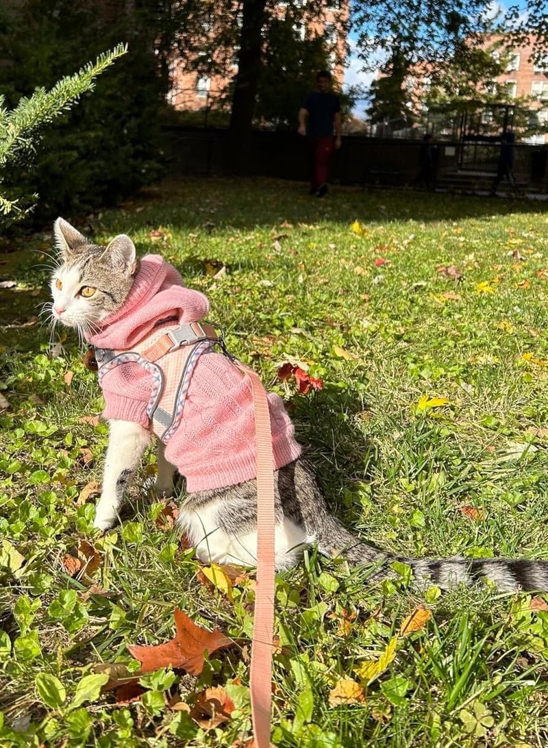 فيبارتي تسخير للكلاب الصغيرة والمتوسطة ، لا يوجد حزام جرو ومجموعة مقود ، حزام سهل المشي للكلاب للمشي والجري والتدريب ، صغير مريح وحزام متوسط ، قابل للتعديل ، متين ، مثالي للاستخدام اليومي - Image 2