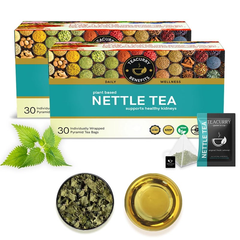 TEACURRY Stinging Nettle Tea (2 Months Pack, 60 Tea Bags) - Helps in Kidney Detox, Blood Sugar, Blood Purify - Nettle Green Tea - Stinging Nettle Tea Bags - Image 1