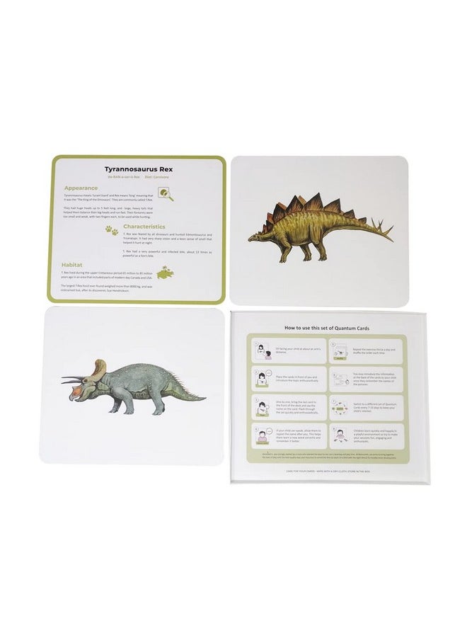 BRAINSMITH Brainsmith Artboard Dinosaurs - Learning Flash Card Set, Multicolour, 8 months to 8 years, 10 Cards  - Image 3