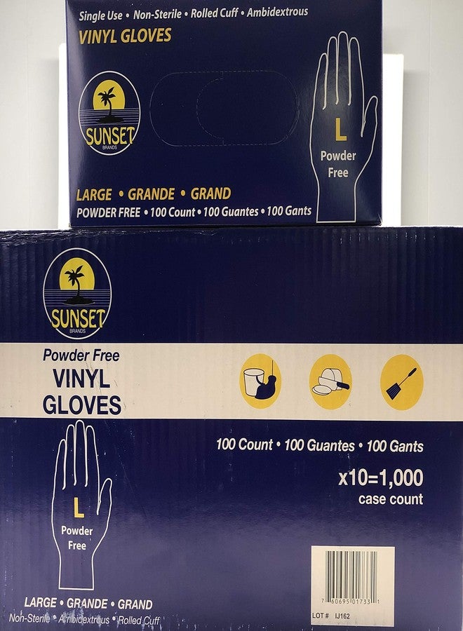 Sunset Powder Free Vinyl Gloves (Large) - Image 1