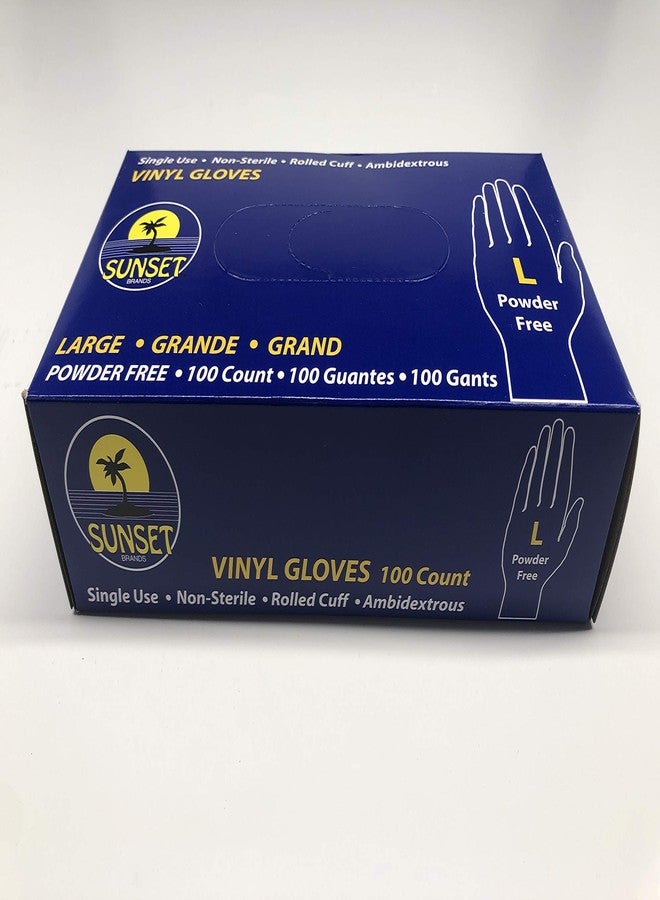 Sunset Powder Free Vinyl Gloves (Large) - Image 3