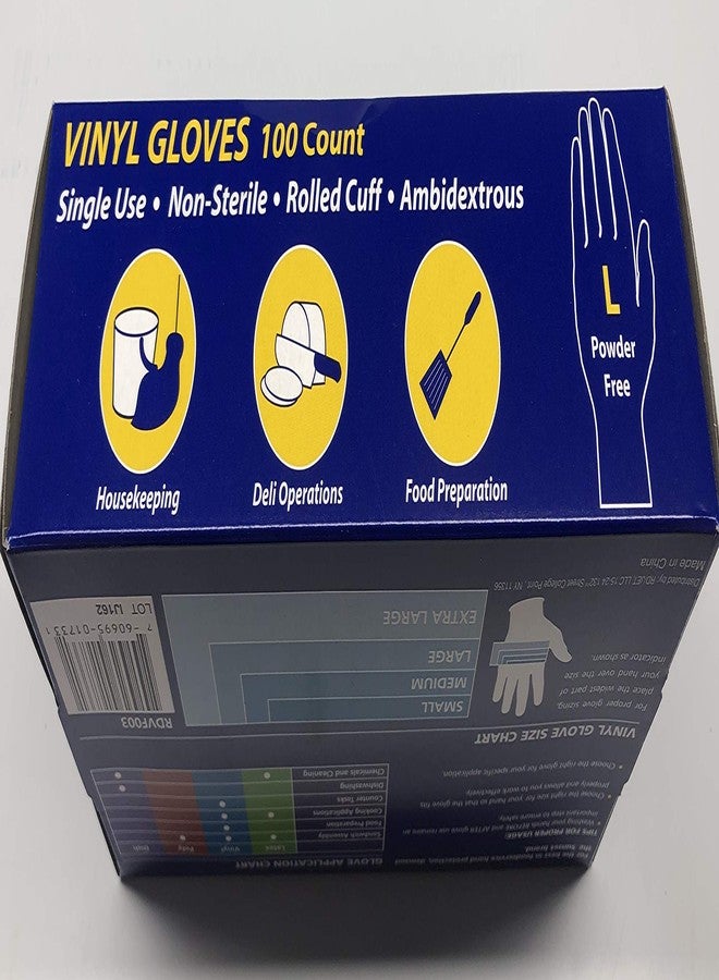 Sunset Powder Free Vinyl Gloves (Large) - Image 5