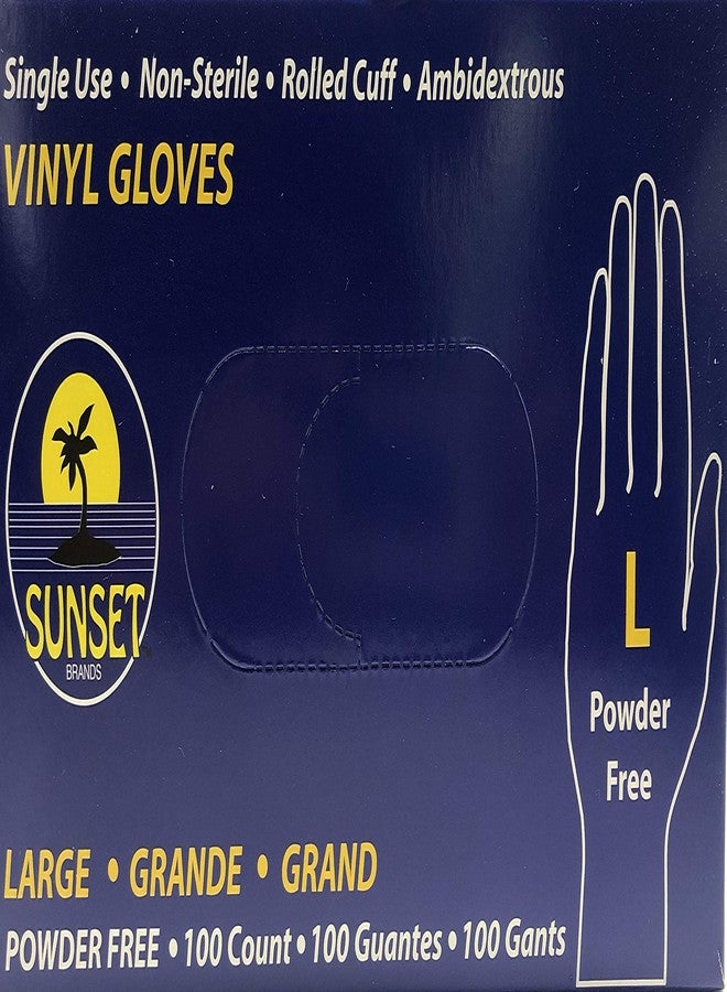 Sunset Powder Free Vinyl Gloves (Large) - Image 2