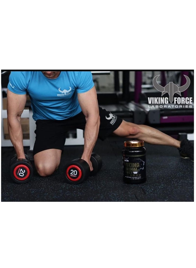 VIKING FORCE LABORATORIES Viking Animal Whey - Chocolate Flavour Whey Protein for efficient recovery, 2.2 lbs, 33 servings - Image 2