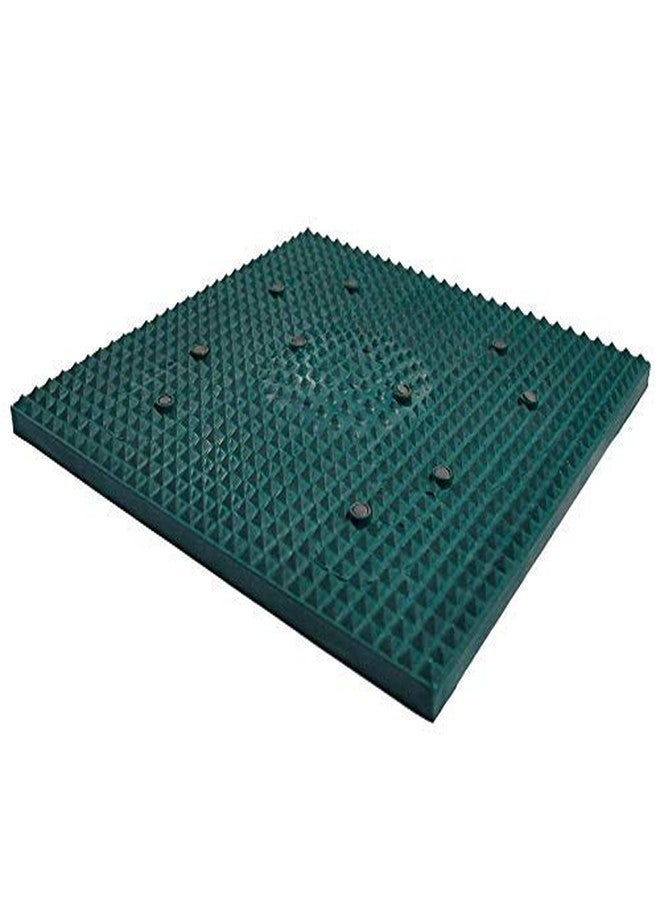أيه أتش سي أس AHCS Accu_pressure Magnets Pyramids Relief Mat Sujok Ring - Image 2