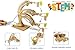 PATHFINDERS STEM Kit Hydraulic Robotic Arm Wooden Building Kit for Kids Ages 812 Mechanical Engineering Toy HandsOn STEM Project for Boys Girls - Image 4