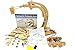 PATHFINDERS STEM Kit Hydraulic Robotic Arm Wooden Building Kit for Kids Ages 812 Mechanical Engineering Toy HandsOn STEM Project for Boys Girls - Image 2