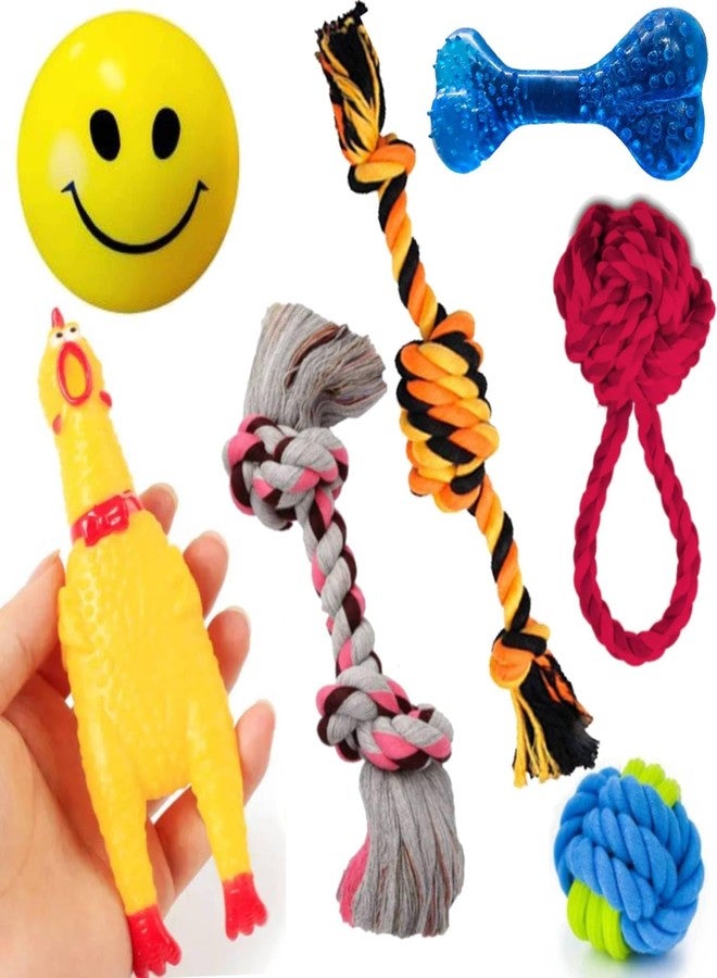 PETZLUV Interactive Dog Chew Toy Set – Squeaky Rubber Chicken, Rope Toys & Spiked Bone for Small & Medium Dogs – Durable, Safe & Teeth Cleaning Puppy Toys - Pack of 7 - Image 1