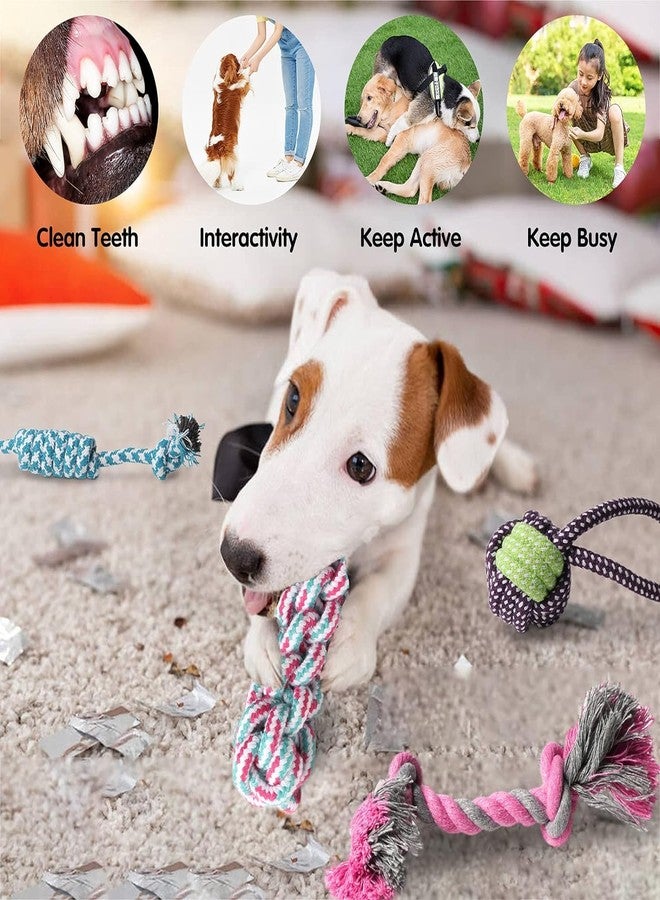 PETZLUV Interactive Dog Chew Toy Set – Squeaky Rubber Chicken, Rope Toys & Spiked Bone for Small & Medium Dogs – Durable, Safe & Teeth Cleaning Puppy Toys - Pack of 7 - Image 5