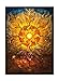 Katomula 100 MTG Card Sleeves with 100 Inner Sleeves Textured Back Art Fit Standard Size Cards Plains - Image 3