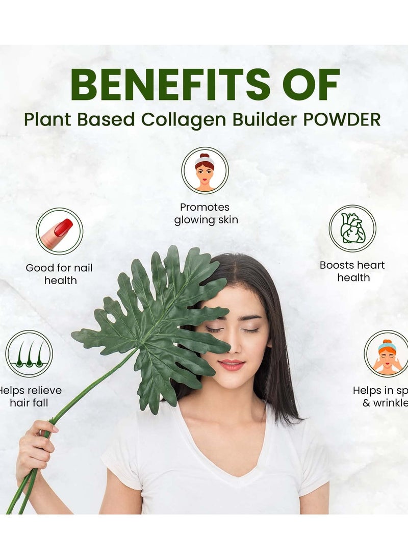 Himalayan organics - Himalayan Organics Plant Based Collagen Builder Powder 250g - Image 1